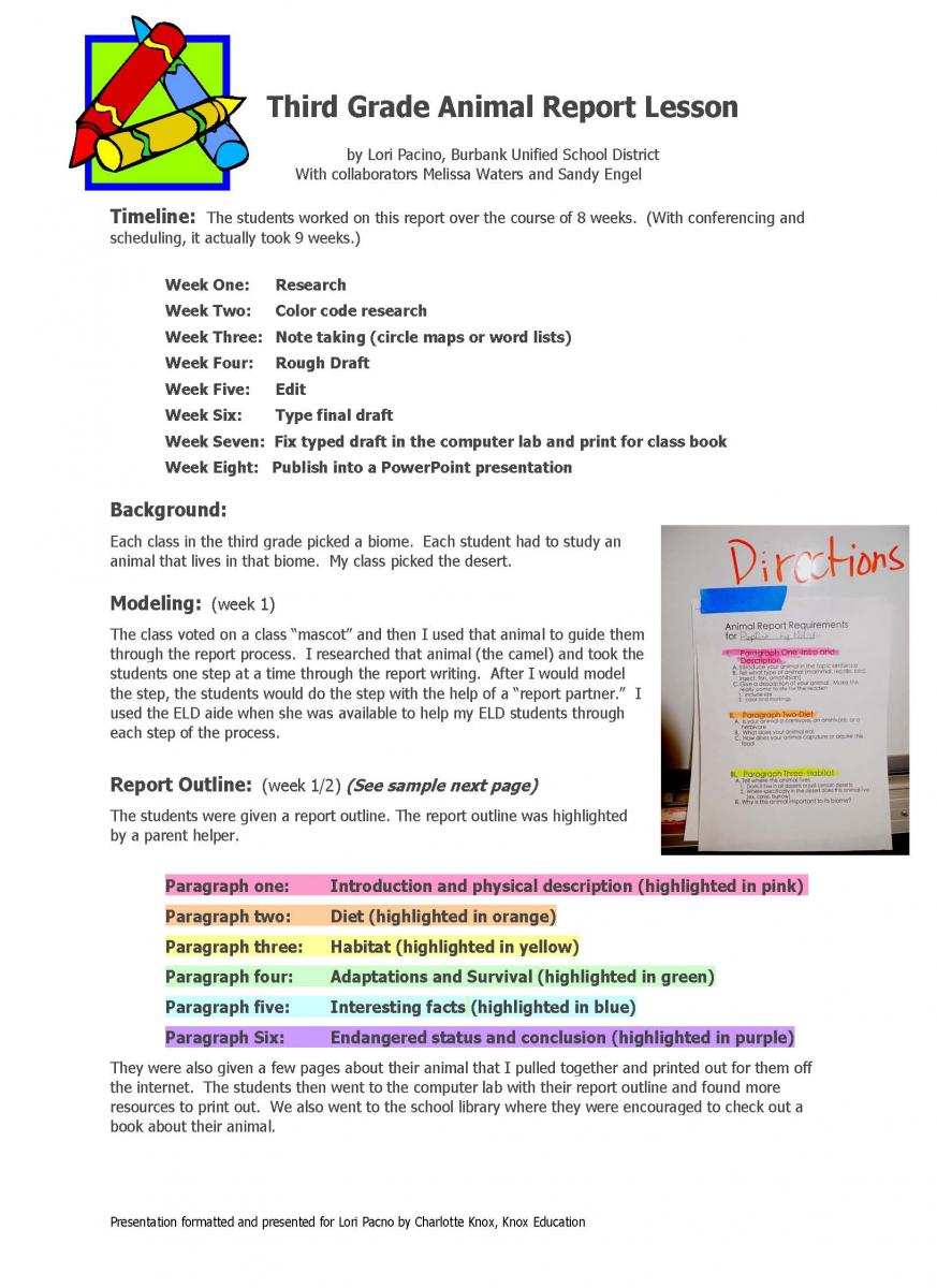 3rd grade animal report example picture